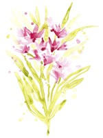 Fuchsia Impulse I Framed Print