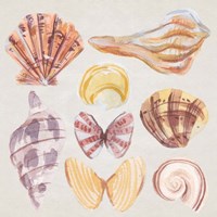 Ocean Sounds II Fine Art Print