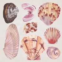 Ocean Sounds III Fine Art Print