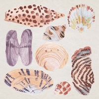 Ocean Sounds IV Fine Art Print