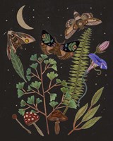 Dark Forest I Fine Art Print