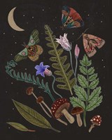 Dark Forest III Fine Art Print