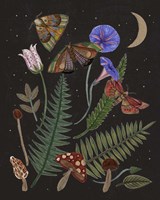 Dark Forest IV Fine Art Print