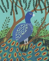 Dandy Peacock I Fine Art Print