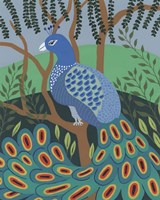 Dandy Peacock II Fine Art Print