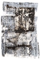 Speckled Remnants II Fine Art Print