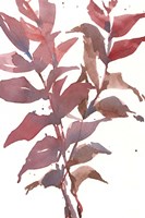 Fall Impression II Fine Art Print