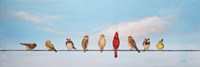 Sweet Birds on a Wire I Fine Art Print