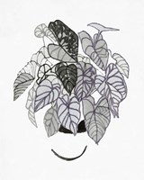 B&W Indoor Plant I Fine Art Print