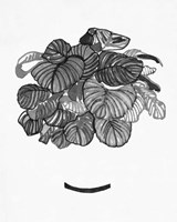 B&W Indoor Plant II Framed Print