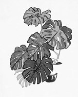 B&W Indoor Plant III Framed Print