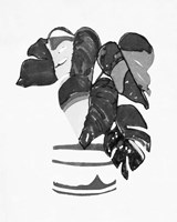 B&W Indoor Plant VI Framed Print