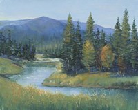 Trout Stream II Framed Print