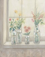 Sunlight Morning II Framed Print