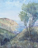 Scenic View II Framed Print