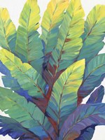 Sunlit Banana Leaves II Fine Art Print