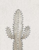 Cactus Study I Framed Print
