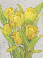 Yellow Tulips I Fine Art Print