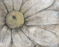 Close-Up Daisy I Framed Print