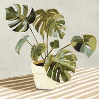 Plant on Stripes II Framed Print