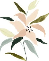 Lily Abstracted I Fine Art Print