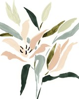 Lily Abstracted II Fine Art Print