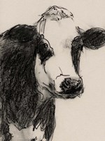 Cow Portrait Sketch I Framed Print