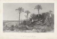 On the Coast of Florida Fine Art Print