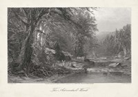 The Adirondack Woods Fine Art Print