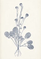 Navy Botanicals VIII Framed Print