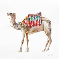 Desert Camel II Fine Art Print