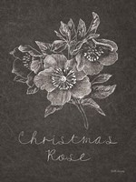 Black and White Chalkboard Christmas III Fine Art Print