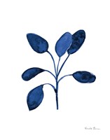 Fresh and Blue VII Fine Art Print