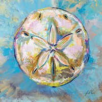 Sand Dollar Fine Art Print