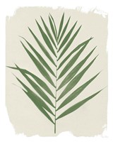 Nature By the Lake Frond III Cream Fine Art Print