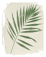 Nature By the Lake Frond II Cream Fine Art Print