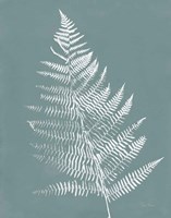 Nature by the Lake Ferns VI Gray Mist Crop Fine Art Print