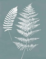 Nature by the Lake Ferns V Gray Mist Crop Fine Art Print