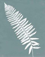 Nature by the Lake Ferns IV Gray Mist Crop Fine Art Print