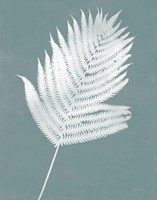 Nature by the Lake Ferns III Gray Mist Crop Fine Art Print