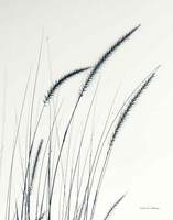 Field Grasses III Crop Fine Art Print