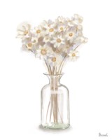 Dried Flower I Fine Art Print