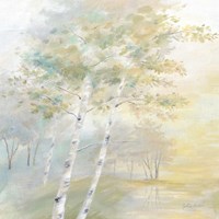 Sunny Glow I Fine Art Print