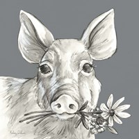 Pig Fine Art Print