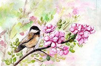 Spring Chickadee and Apple Blossoms Fine Art Print