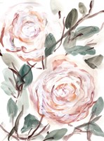 Farmhouse Bush Coral Pink I Fine Art Print