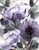 Farmhouse Bush Purple II Fine Art Print