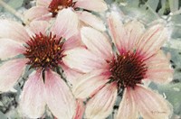 Garden Dream IV Fine Art Print