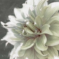 Garden Dream X Fine Art Print