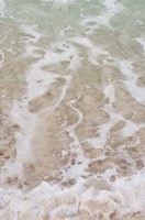 Beach Shore II Fine Art Print